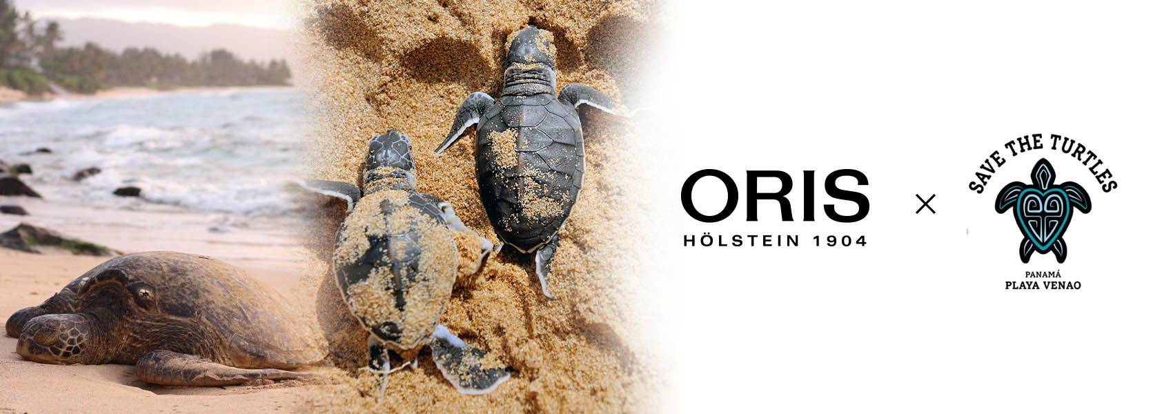 Duty Free Dynamics & ORIS supporting the ‘Save the Turtles’ Foundation in Playa Venao, Panama