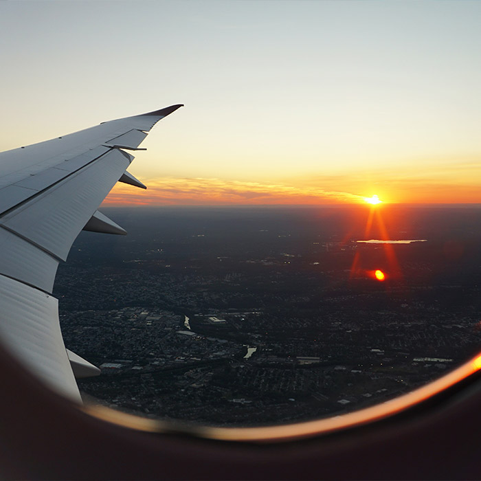 International travel recovery